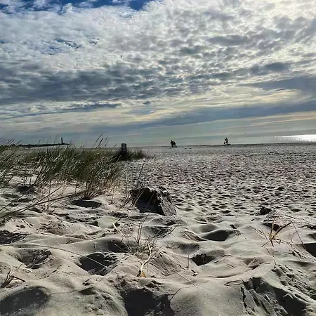 Bright In Near Apartment